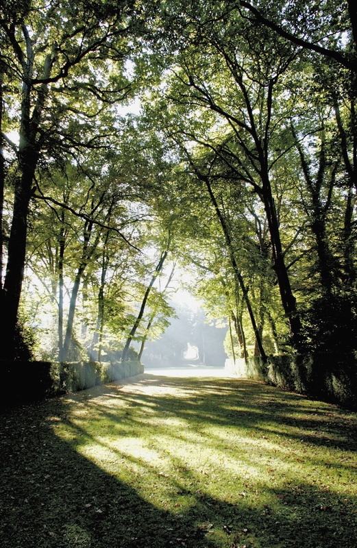 L'Allée Catherine - Christophe Kicherer